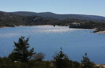 O Salgueiro - Foto 38