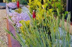 Apartament Lotos - Foto 11