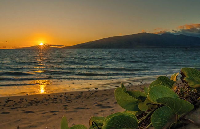 Maui Sunset by Maui Rental Group - Photo 59