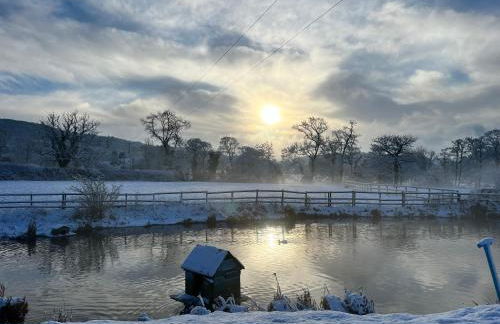 The Saddlery Cheshire - Photo 28