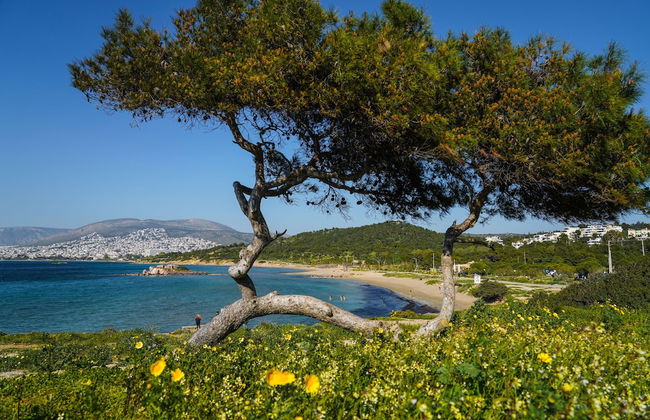 Secret Aktis by BluPine - Foto 33