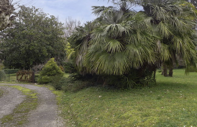 Le chant des milans - Foto 20