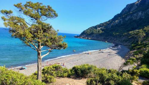 Stardust Whisper - Foto 5