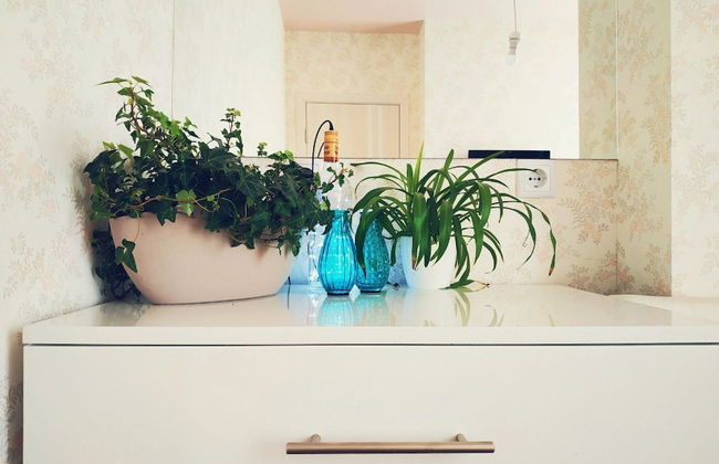 MalinaApt Pink Olive - Foto 18