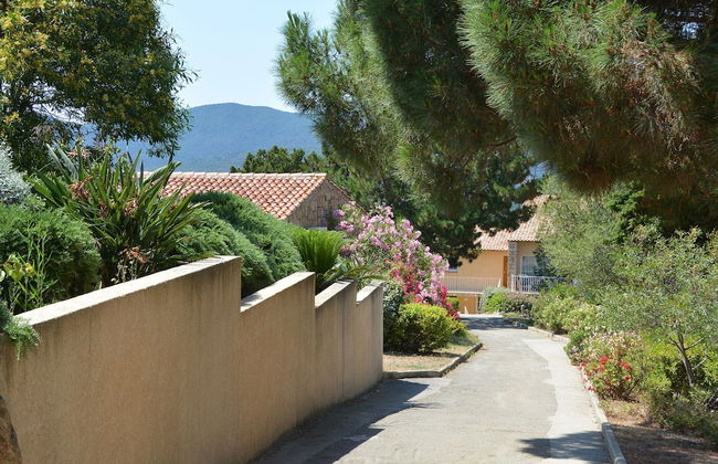 Apartment in Serra-di-ferro Near Cupabia Beach - Photo 14