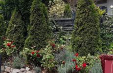 Fewo "Ostseebrise" - Foto 6