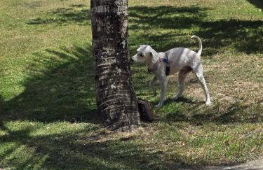 Casa em Praia Seca com Quintal - Foto 54
