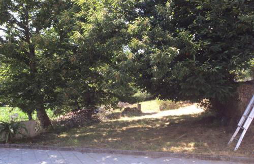 duplex house un center village - Foto 11