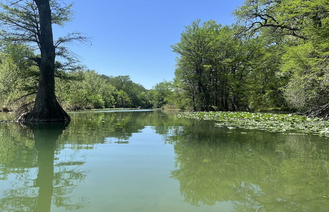 Treetop River Cabins - Foto 75