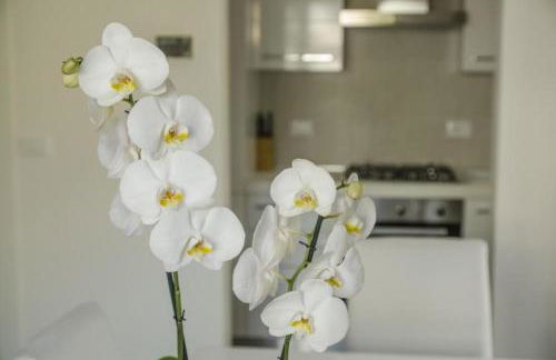 Appartamenti Federica 12T - Foto 12