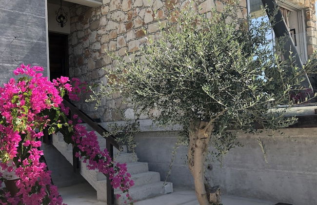 Ayia Marina Villa - Foto 31