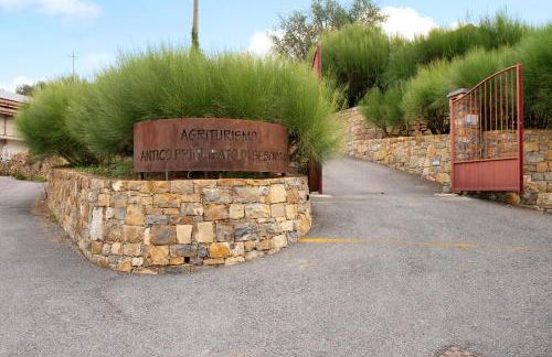 Appartamento Vallebona - Foto 21