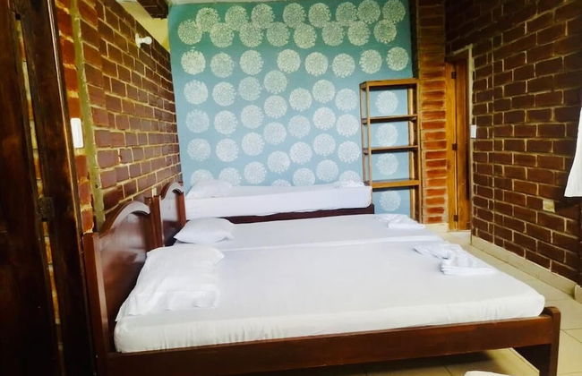 Las acacias Tolu - Foto 63