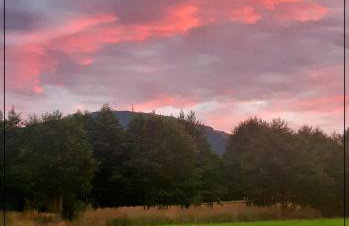 Miętówka - Foto 25