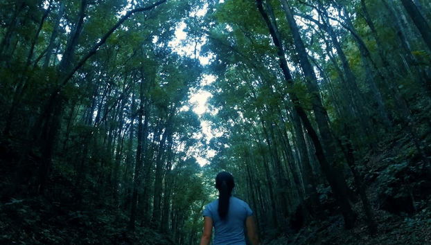 Bohol Guided Tour - Photo 3