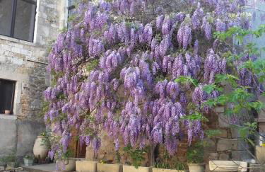 Gîtes de la place du château - Foto 6