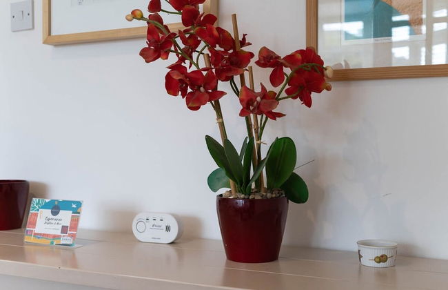 Host Stay Martlet House - Photo 43