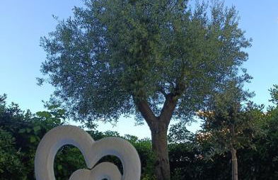 Cuorconero - Photo 35