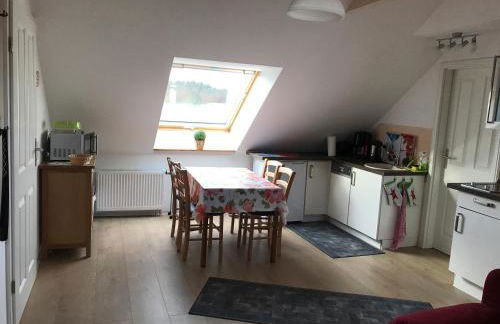 Goldener Anker, verschiedene gemütliche Ferienwohnungen - Foto 50