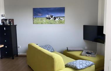 Ferienwohnungen Felix und Jan - Foto 27