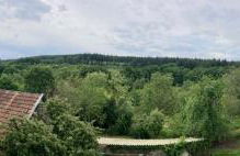 Les Abeilles - Foto 6