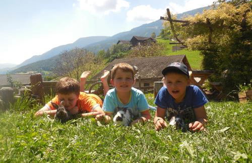 Schweiggerhof -Agriturismo- Farm Holidays - Foto 28