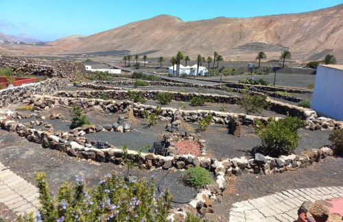 Centro Ave Fénix - Photo 11