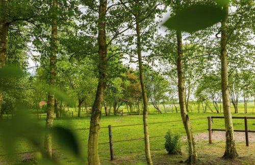 Ferienhaus LANDHAUS STUHRBERG - Foto 41