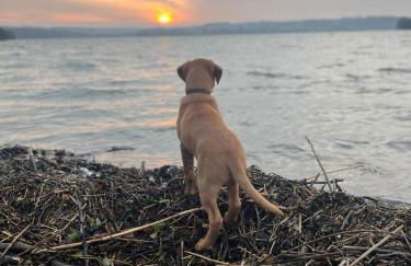 Lower Marsh Farm in Cornwall - Photo 25