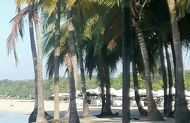 Room-apartment Monocal in Boca Chica - Foto 13