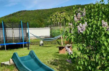 Morycówka - Foto 13