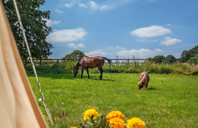 Star Gazing Bell Tent Farm Stay - Foto 14