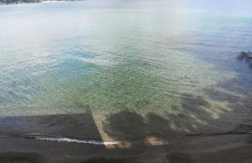 Castello Apartment - Photo 76