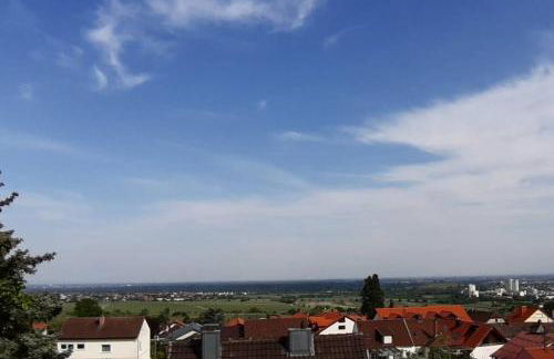Pfälzer Herzel mit 2 Schlafzimmern und Blick über die Rheinebene kostenfreiem Parkplatz und Wlan fußläufig zum Wald und den Weinbergen Weinkühlschrank Brötchenservice Garten mit Gasgrill - Foto 34