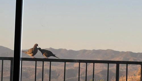 Mountainside Retreat - Foto 3