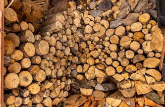 Stilly River Haus - Hot tub - Firepit - Fireplace - Foto 30