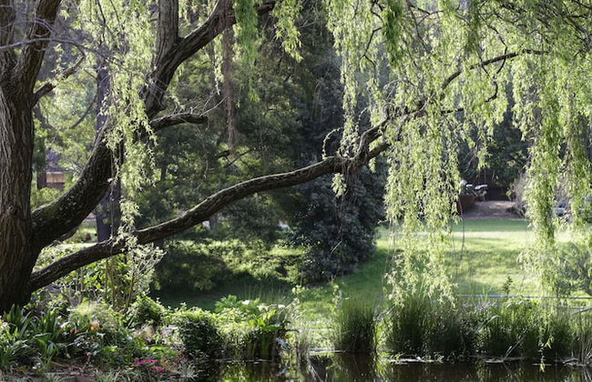 Waterland - Photo 76