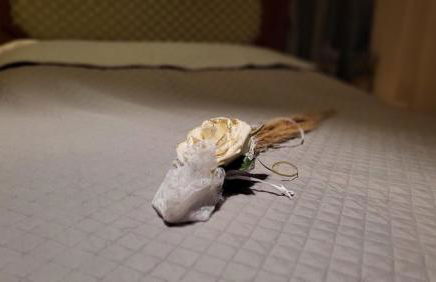 Anna's house - Photo 20