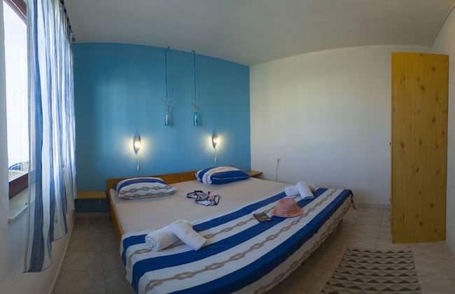 Victorious VIScovery Green - Foto 16