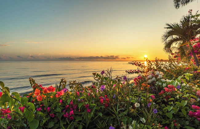 Villa Kupu Kupu Tulip - Foto 54