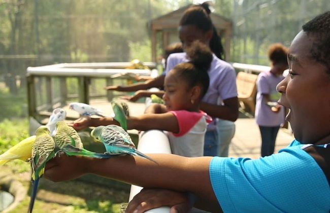 Boston CityPASS® - Photo 4