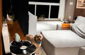 Apartamento Oktoberfest - Foto 19