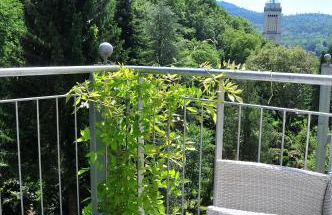 Stadt- Naturnah, Traumblick und Balkon - Foto 1