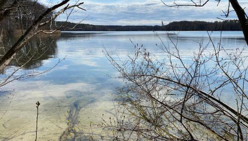 Ferienwohnung Plaue Auszeit mit Privatstrand und Bootsliegeplatz - Foto 2