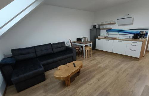 Apartamenty Lubkowo - Foto 34