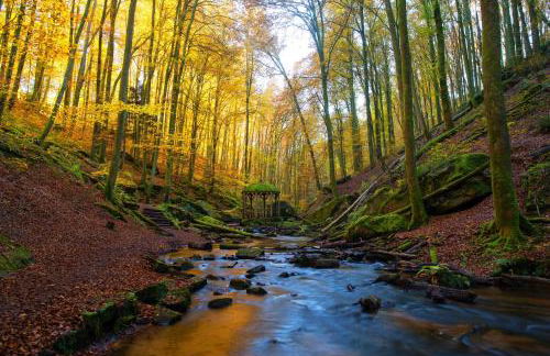 Ferienhaus Palatini - Foto 14