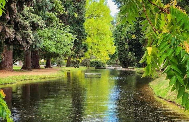 Excursion au Parc National de Mont-Field - Photo 3