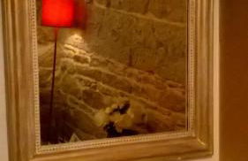 Les Allées de Bellecour - Photo 69