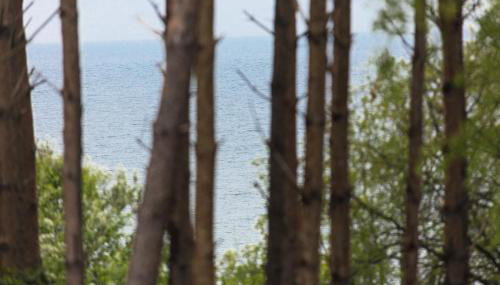 Palicki - Apartamenty z widokiem na morze - Foto 2