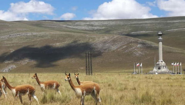 Desfrutando da fauna de Junín